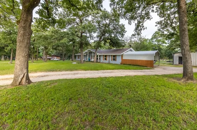 a view of a house with a big yard potted plants and large tree