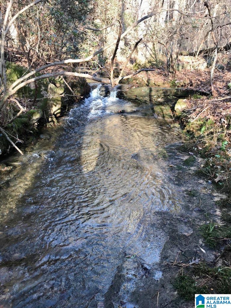 0 Frost Road, Unit 100 / ACRES Springville, AL 35146 - Photo 3 of 60