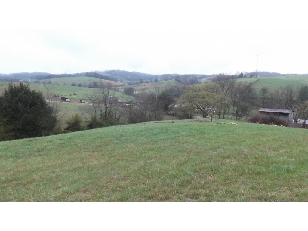 Tbd West Allens Bridge Road Greeneville, TN 37743 - Photo 12 of 21 Photo 17