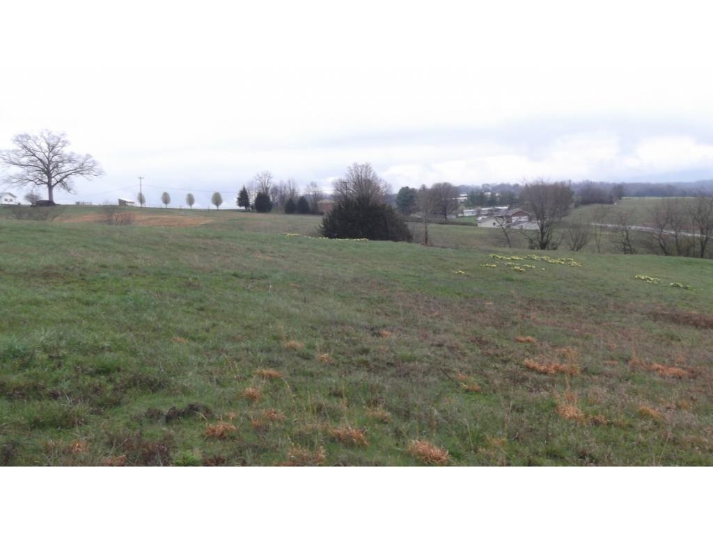 Tbd West Allens Bridge Road Greeneville, TN 37743 - Photo 15 of 21 Photo 20