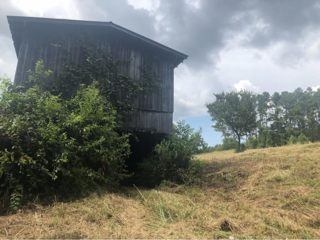 Tbd West Allens Bridge Road Greeneville, TN 37743 - Photo 16 of 21 Photo 21