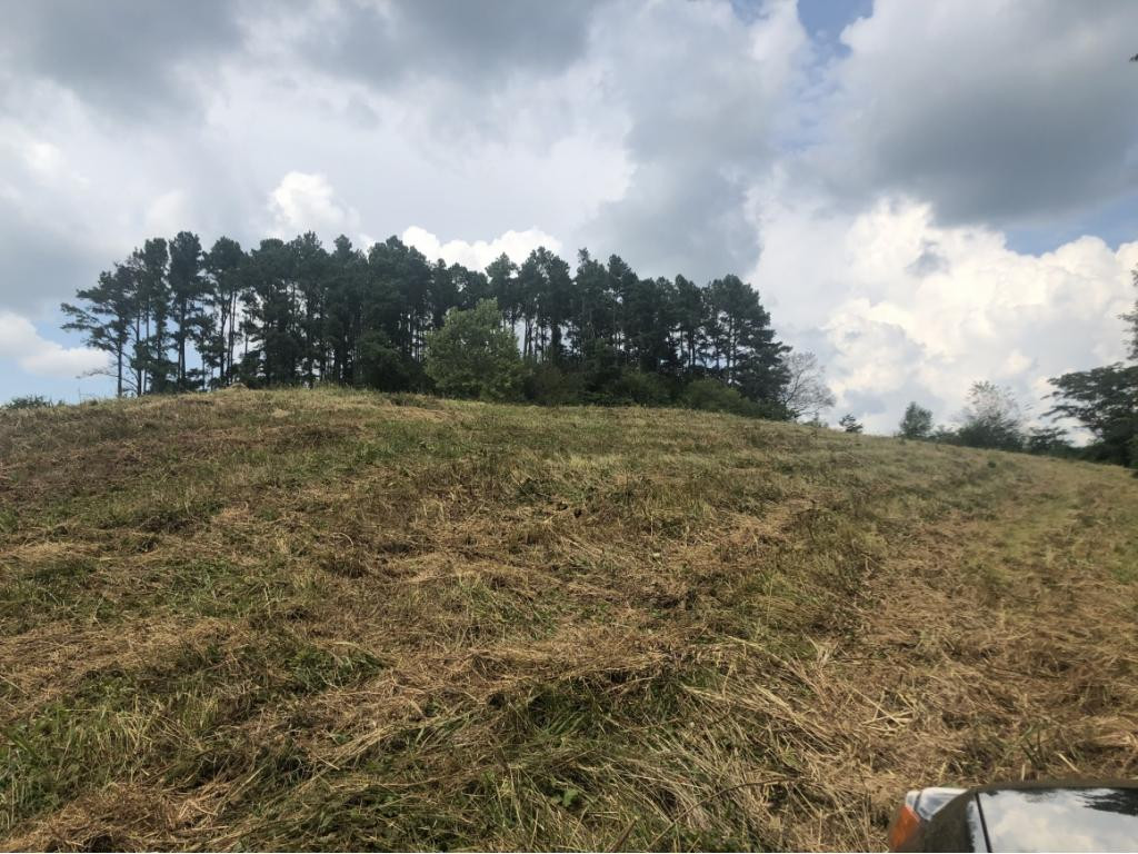 Tbd West Allens Bridge Road Greeneville, TN 37743 - Photo 18 of 21 Photo 23