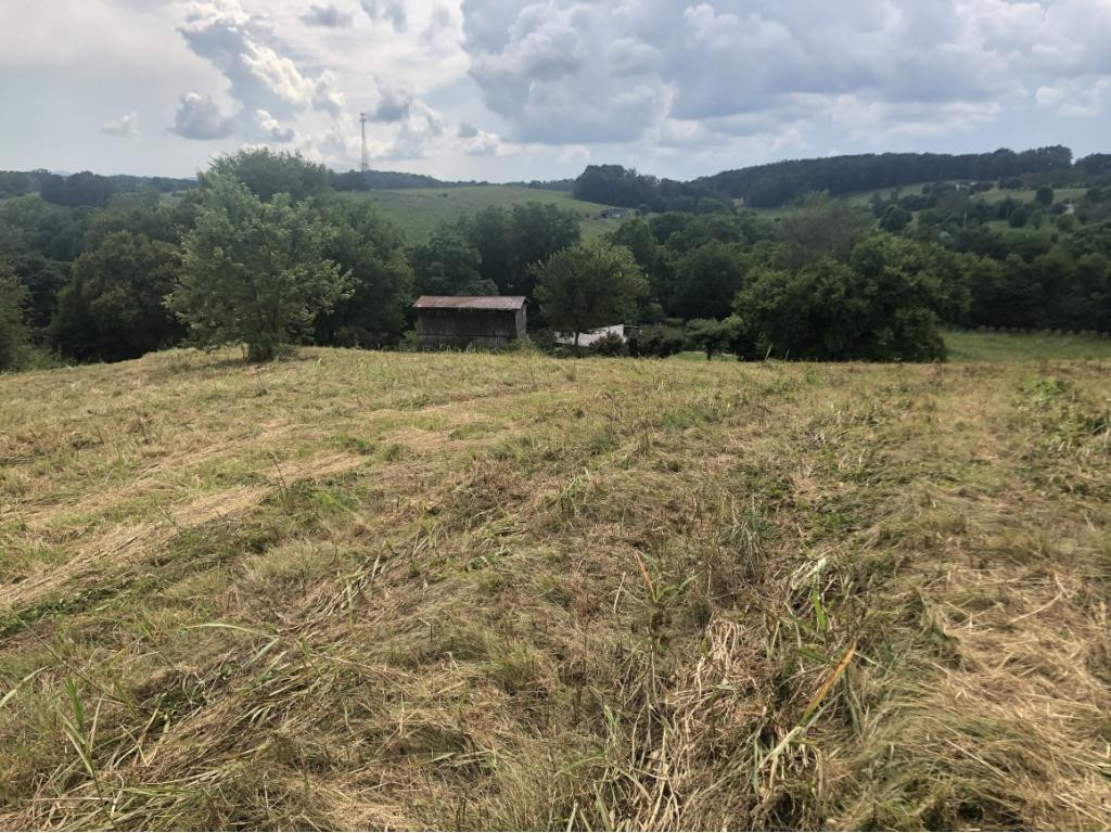 Tbd West Allens Bridge Road Greeneville, TN 37743 - Photo 20 of 21 Photo 25