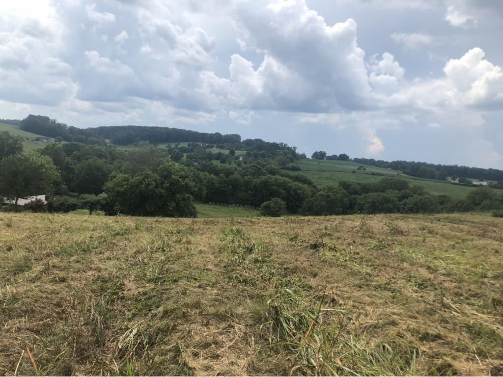 Tbd West Allens Bridge Road Greeneville, TN 37743 - Photo 21 of 21 Photo 26