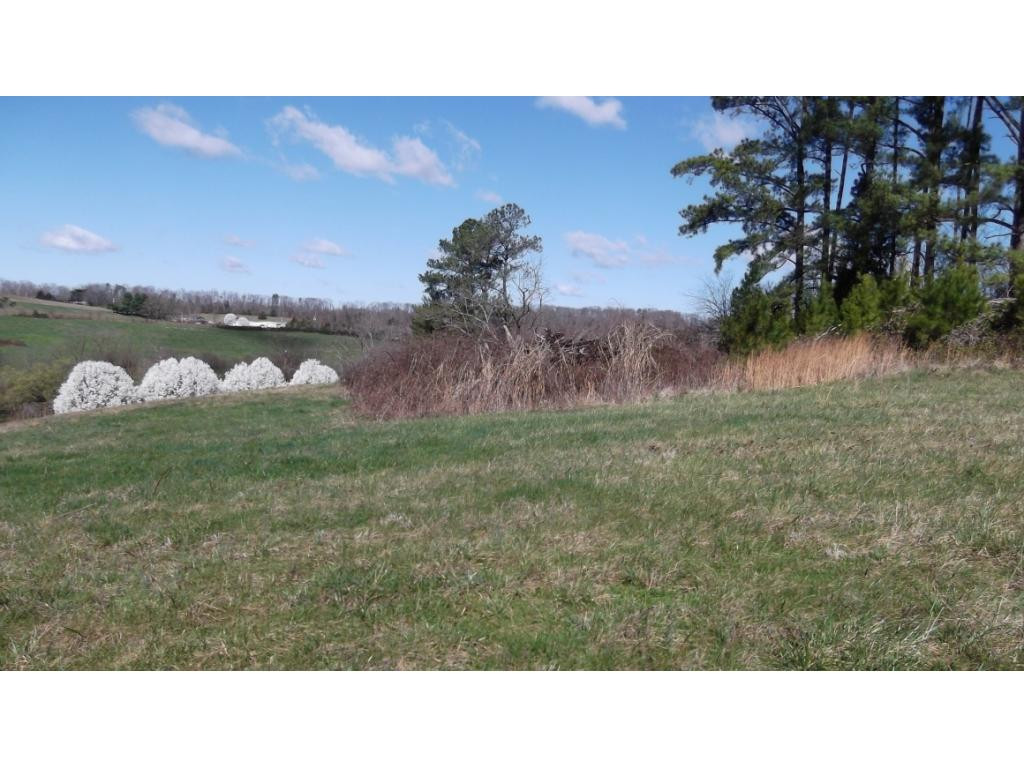 Tbd West Allens Bridge Road Greeneville, TN 37743 - Photo 5 of 21 Photo 10