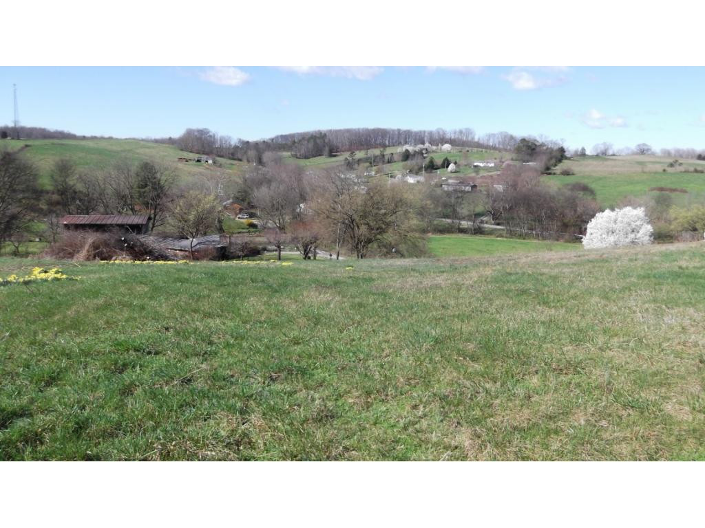 Tbd West Allens Bridge Road Greeneville, TN 37743 - Photo 6 of 21 Photo 11