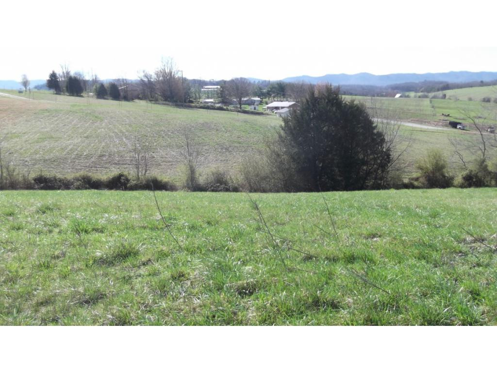 Tbd West Allens Bridge Road Greeneville, TN 37743 - Photo 7 of 21 Photo 12
