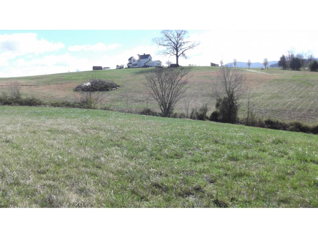 Tbd West Allens Bridge Road Greeneville, TN 37743 - Photo 8 of 21 Photo 13