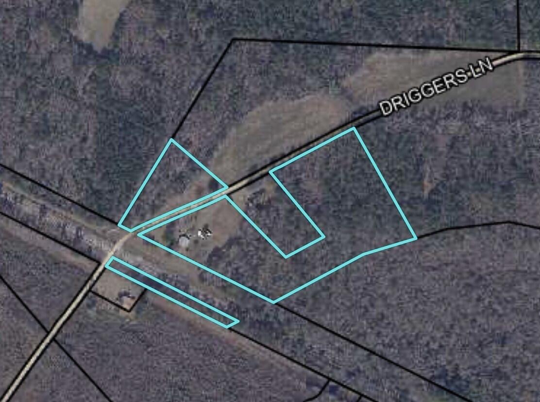 1248 Driggers Lane Manning, SC 29102 - Photo 11 of 11 pic 1