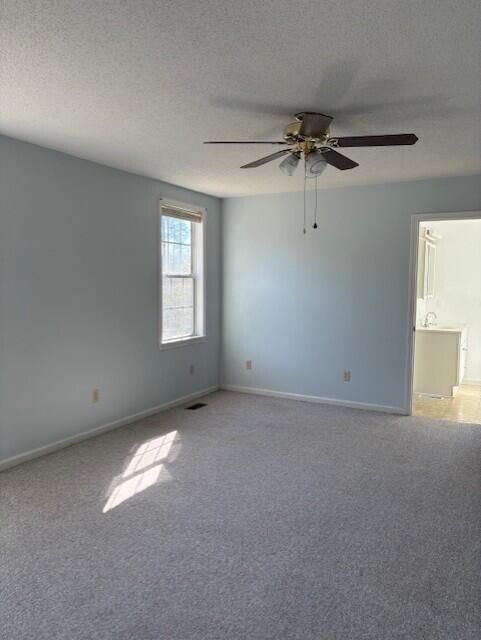 1248 Driggers Lane Manning, SC 29102 - Photo 10 of 11 pic 2