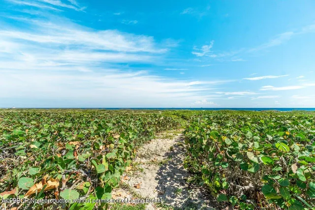 $50,000 | 1426 North Ocean Boulevard, Palm Beach, FL 33480