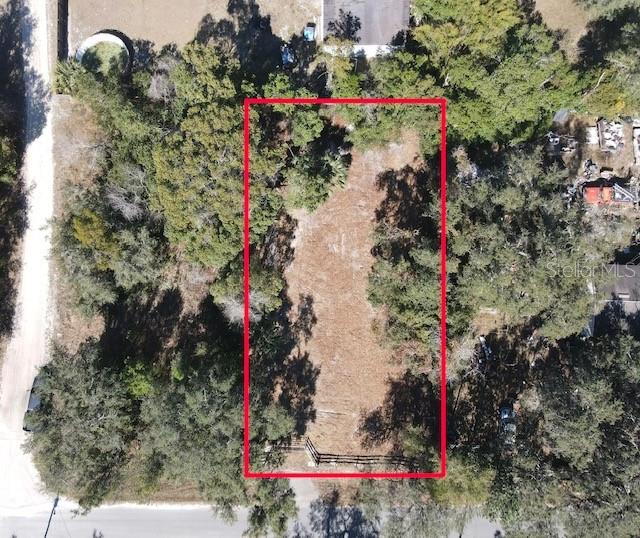 Azalea Avenue Paisley, FL 32767 - Photo 3 of 8