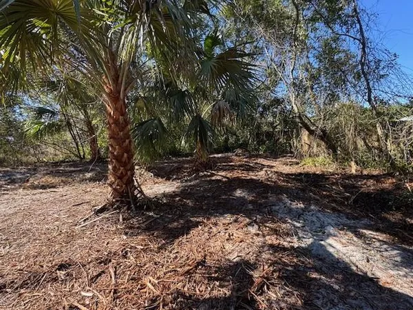 $29,900 | Azalea Avenue, Paisley, FL 32767