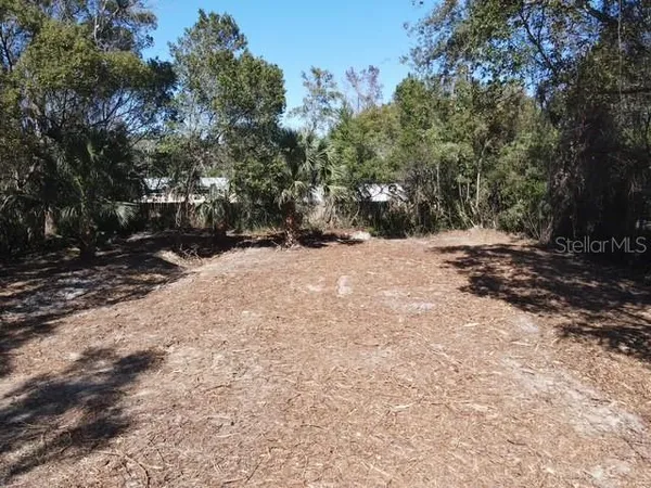 $29,900 | Azalea Avenue, Paisley, FL 32767