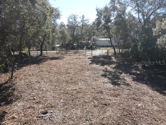 Azalea Avenue Paisley, FL 32767 - Photo 7 of 8