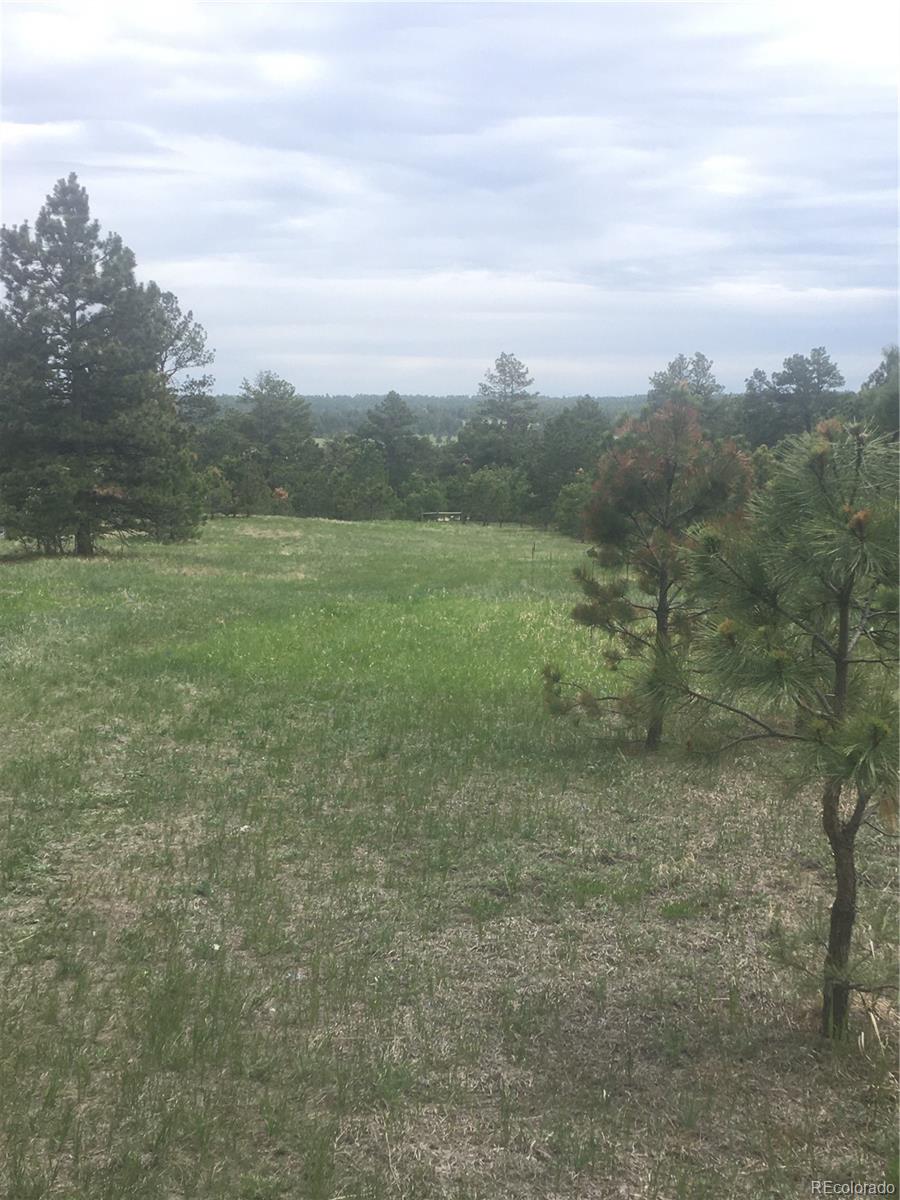 18673 North Elbert Road Elbert, CO 80106 - Photo 2 of 10 a view of an outdoor space and a yard