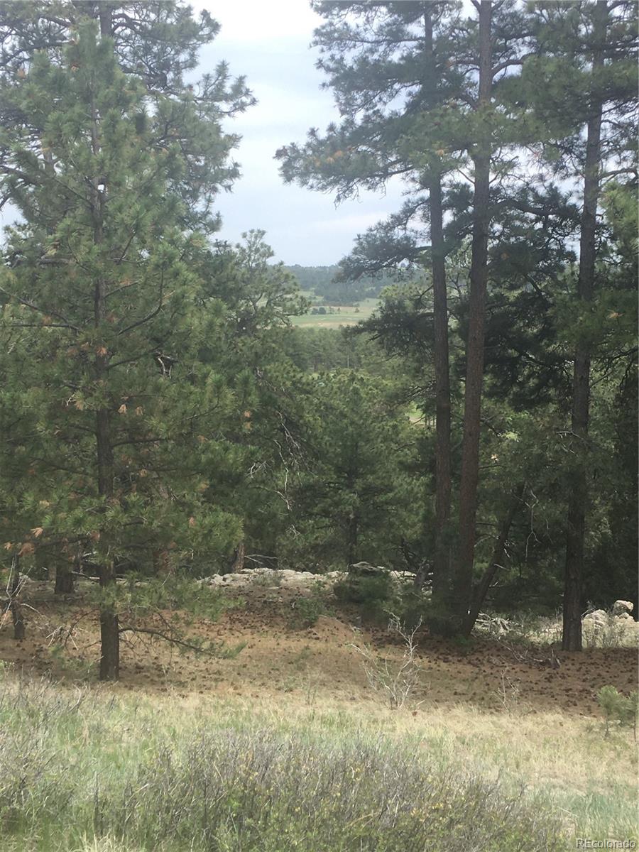 18673 North Elbert Road Elbert, CO 80106 - Photo 4 of 10 a view of a yard with trees in the background