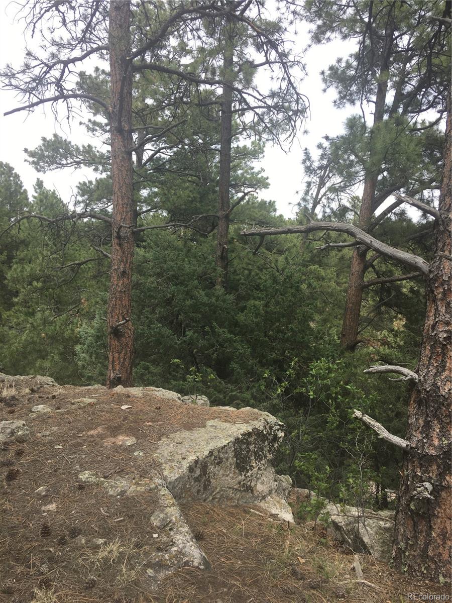 18673 North Elbert Road Elbert, CO 80106 - Photo 7 of 10 a view of outdoor space and yard