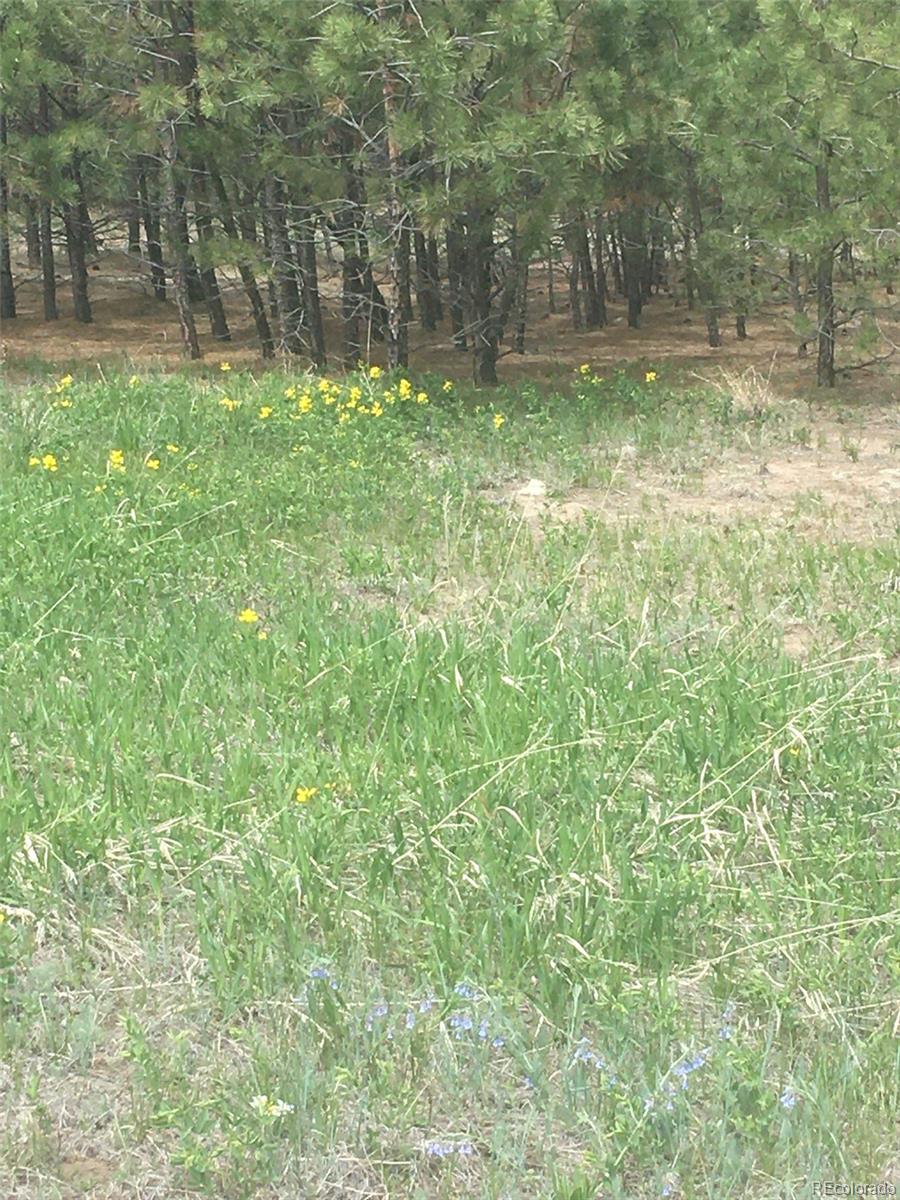 18673 North Elbert Road Elbert, CO 80106 - Photo 8 of 10 a backyard of a house with lots of green space and fountain