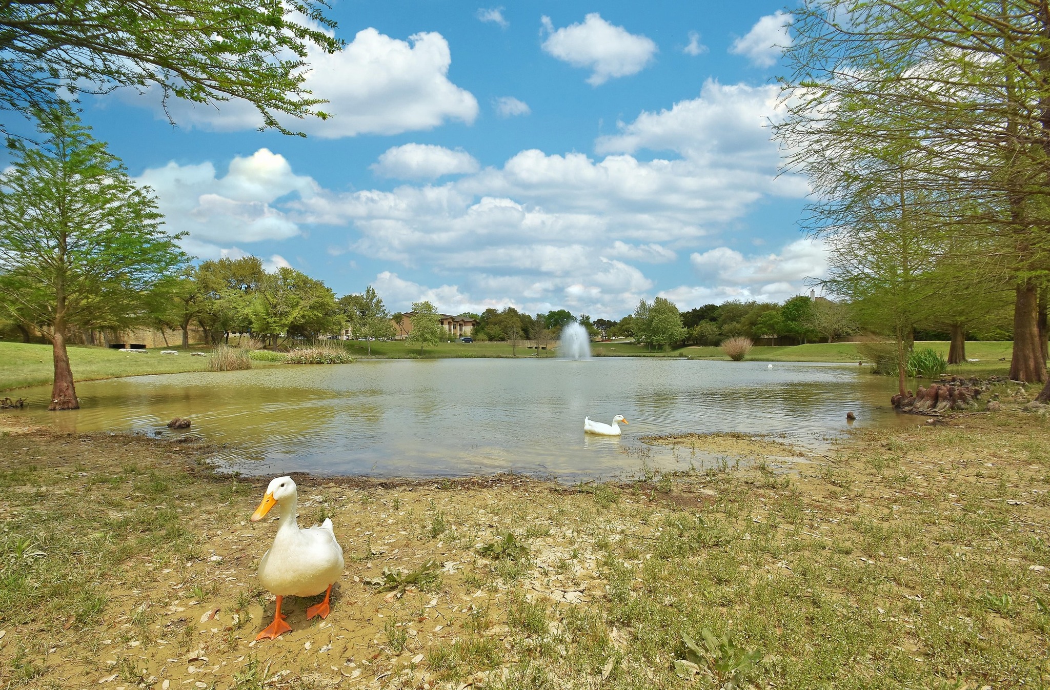 12932 Nutty Brown Road Austin, TX 78737 - Photo 40 of 40 Neighborhood - Enjoy nearby community lakes and scenic outdoor spaces.
