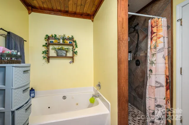 a bathroom with a bathtub and shower