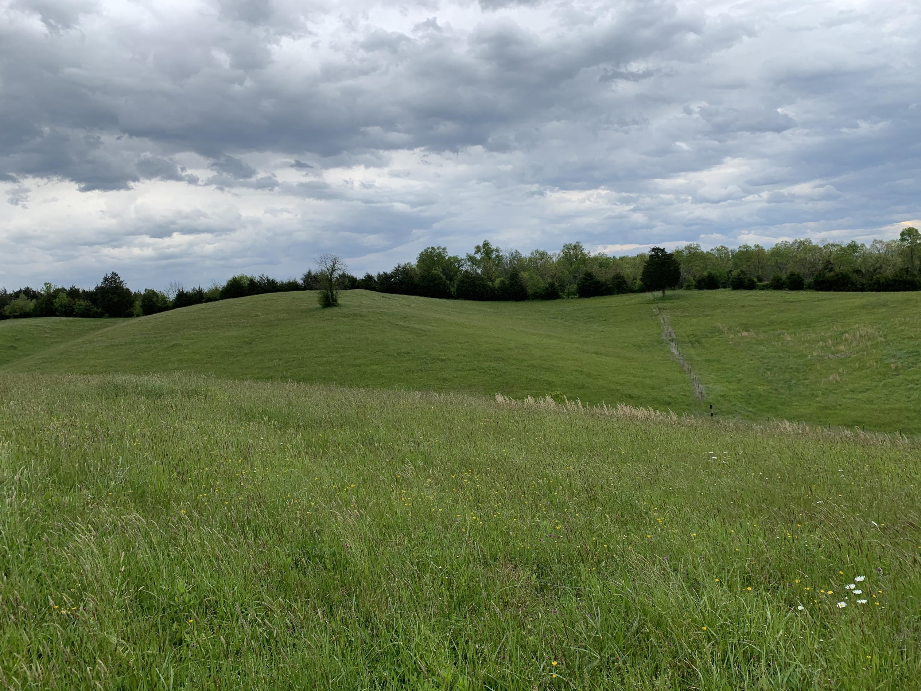 14.39-ac Red Gate Road Greeneville, TN 37743 - Photo 1 of 23 Main Photo