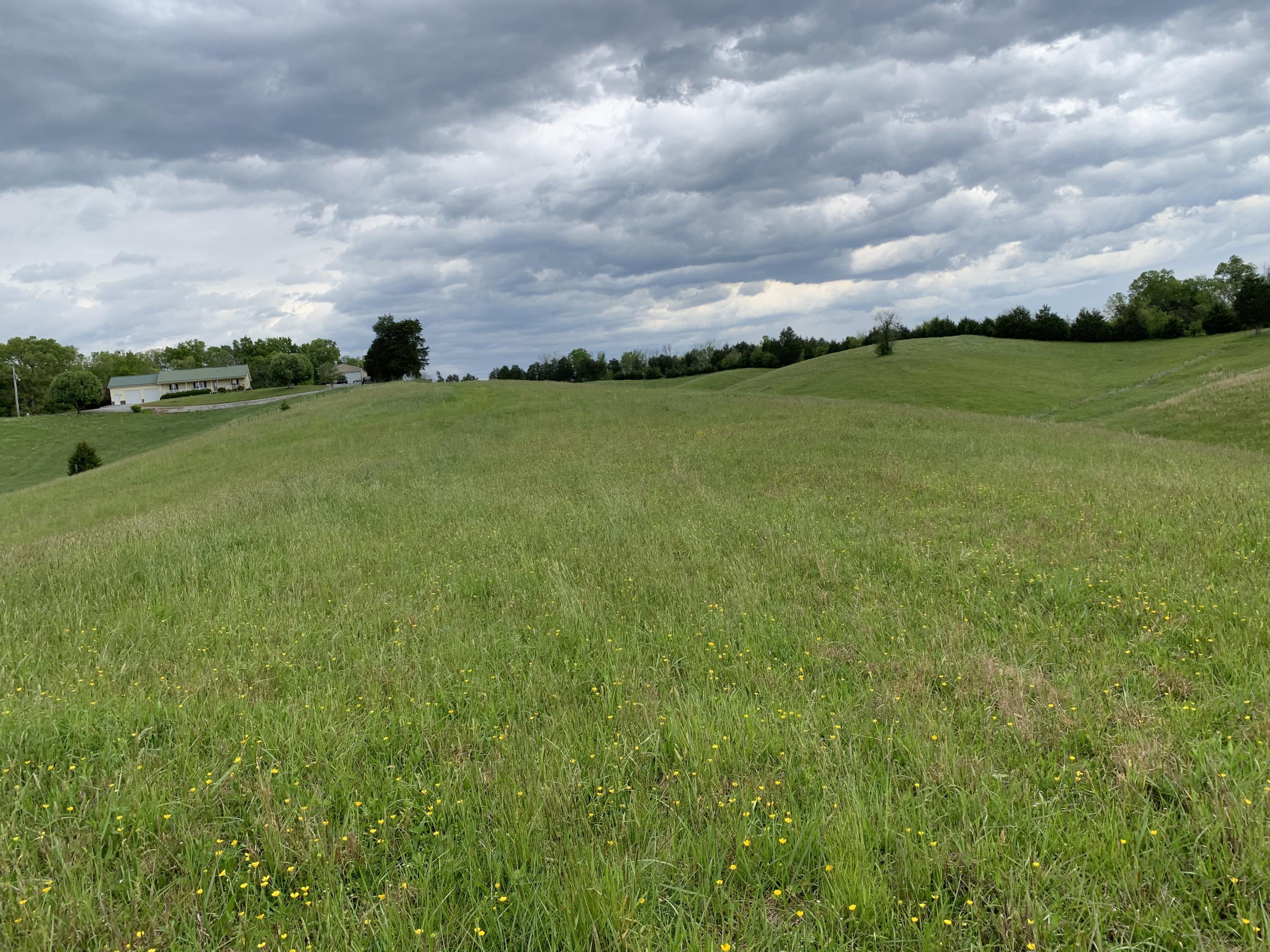 14.39-ac Red Gate Road Greeneville, TN 37743 - Photo 2 of 23 Photo 1