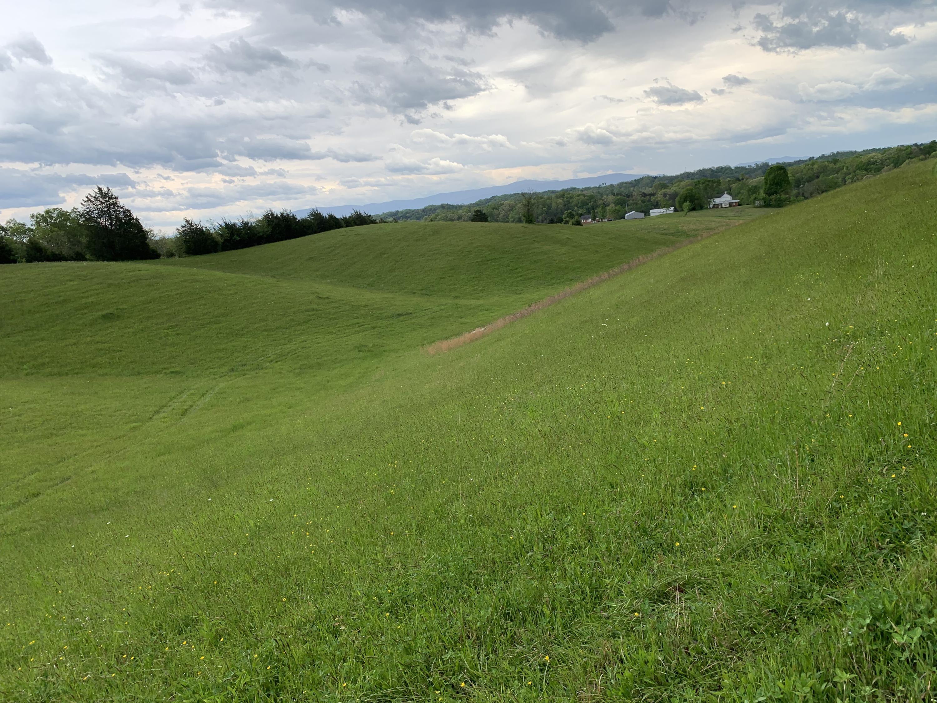 14.39-ac Red Gate Road Greeneville, TN 37743 - Photo 11 of 23 Photo 10