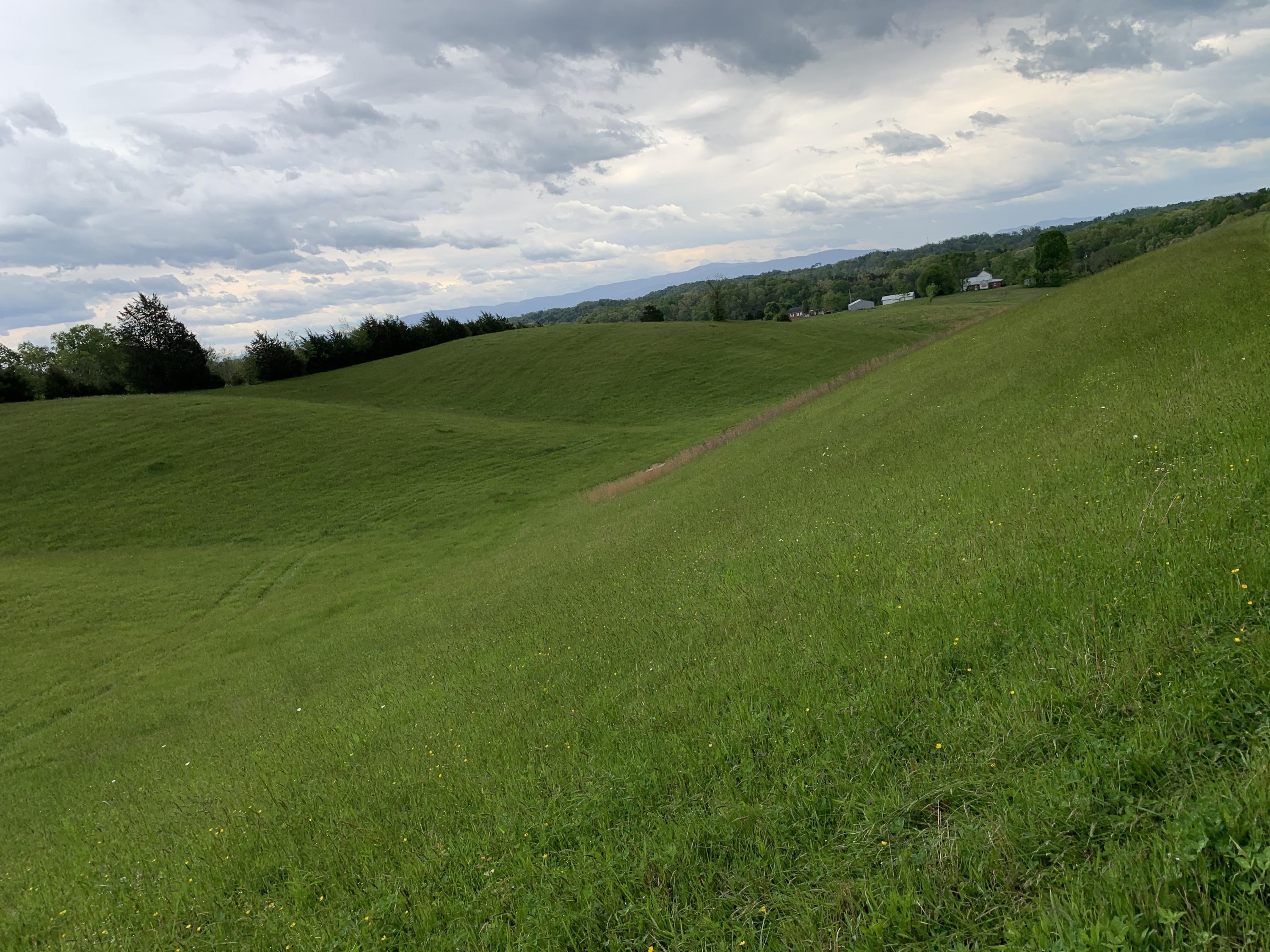 14.39-ac Red Gate Road Greeneville, TN 37743 - Photo 12 of 23 Photo 11