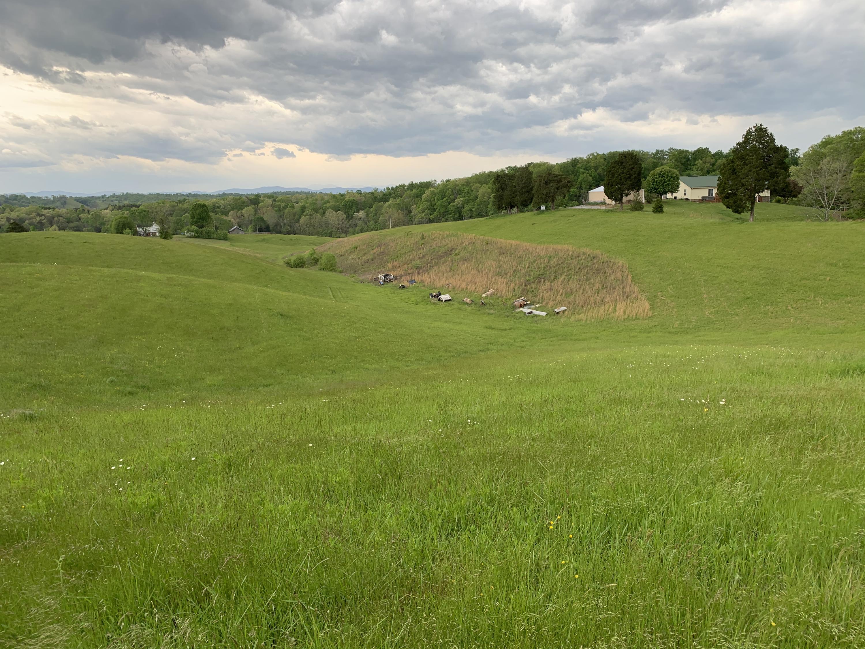 14.39-ac Red Gate Road Greeneville, TN 37743 - Photo 15 of 23 Photo 14