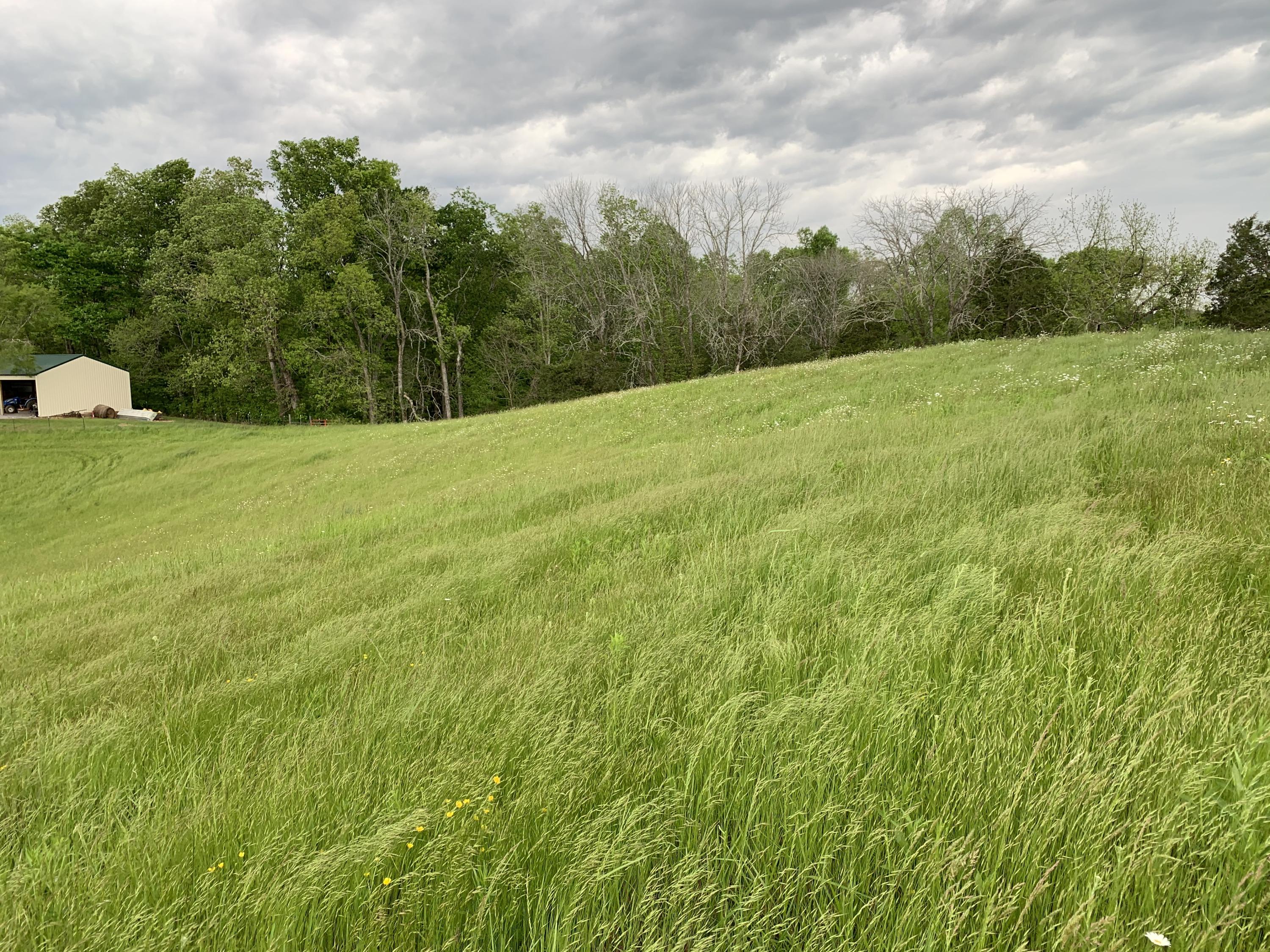 14.39-ac Red Gate Road Greeneville, TN 37743 - Photo 16 of 23 Photo 15