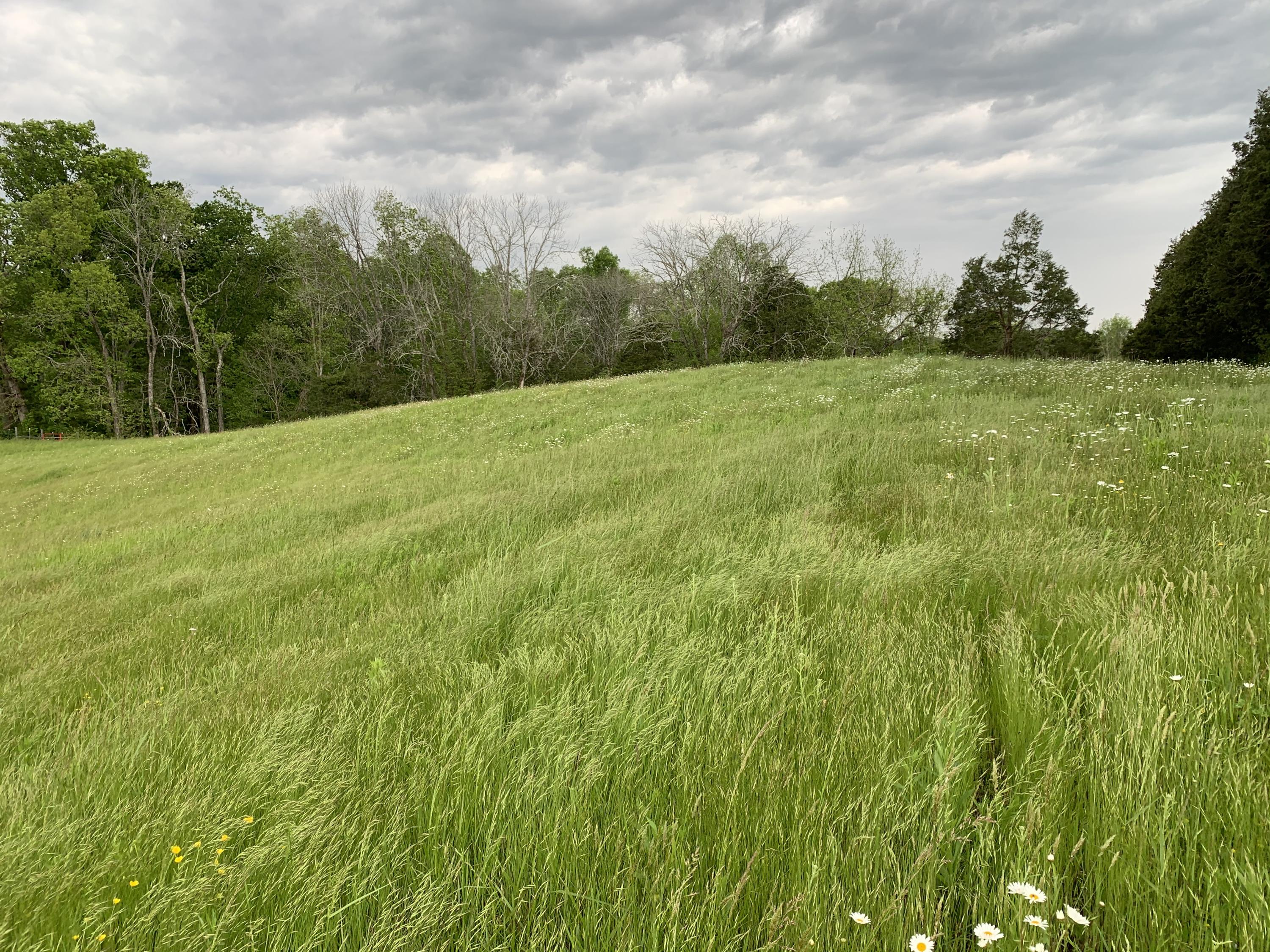 14.39-ac Red Gate Road Greeneville, TN 37743 - Photo 17 of 23 Photo 16