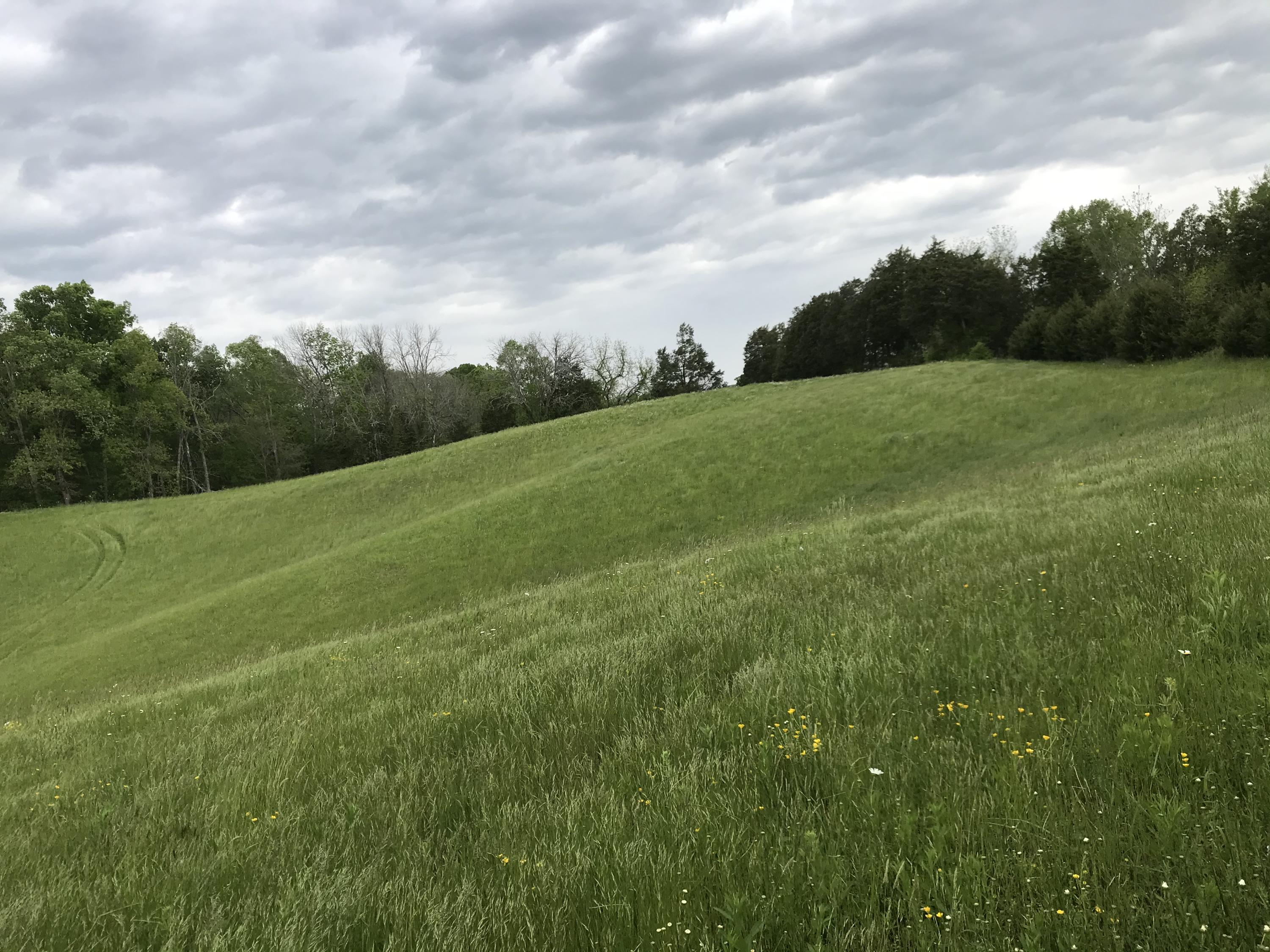 14.39-ac Red Gate Road Greeneville, TN 37743 - Photo 18 of 23 Photo 17