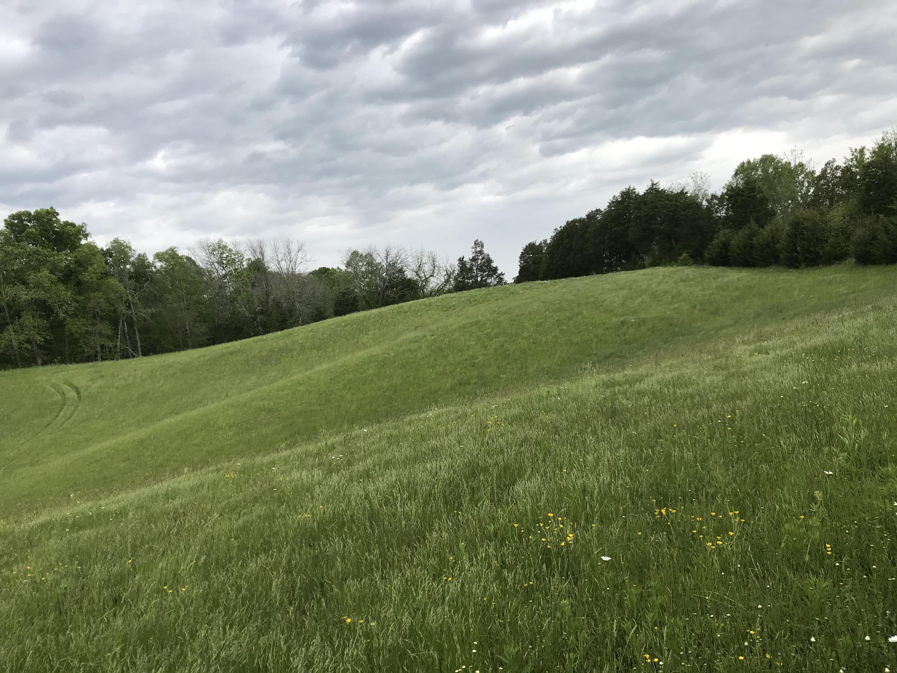 14.39-ac Red Gate Road Greeneville, TN 37743 - Photo 19 of 23 Photo 18