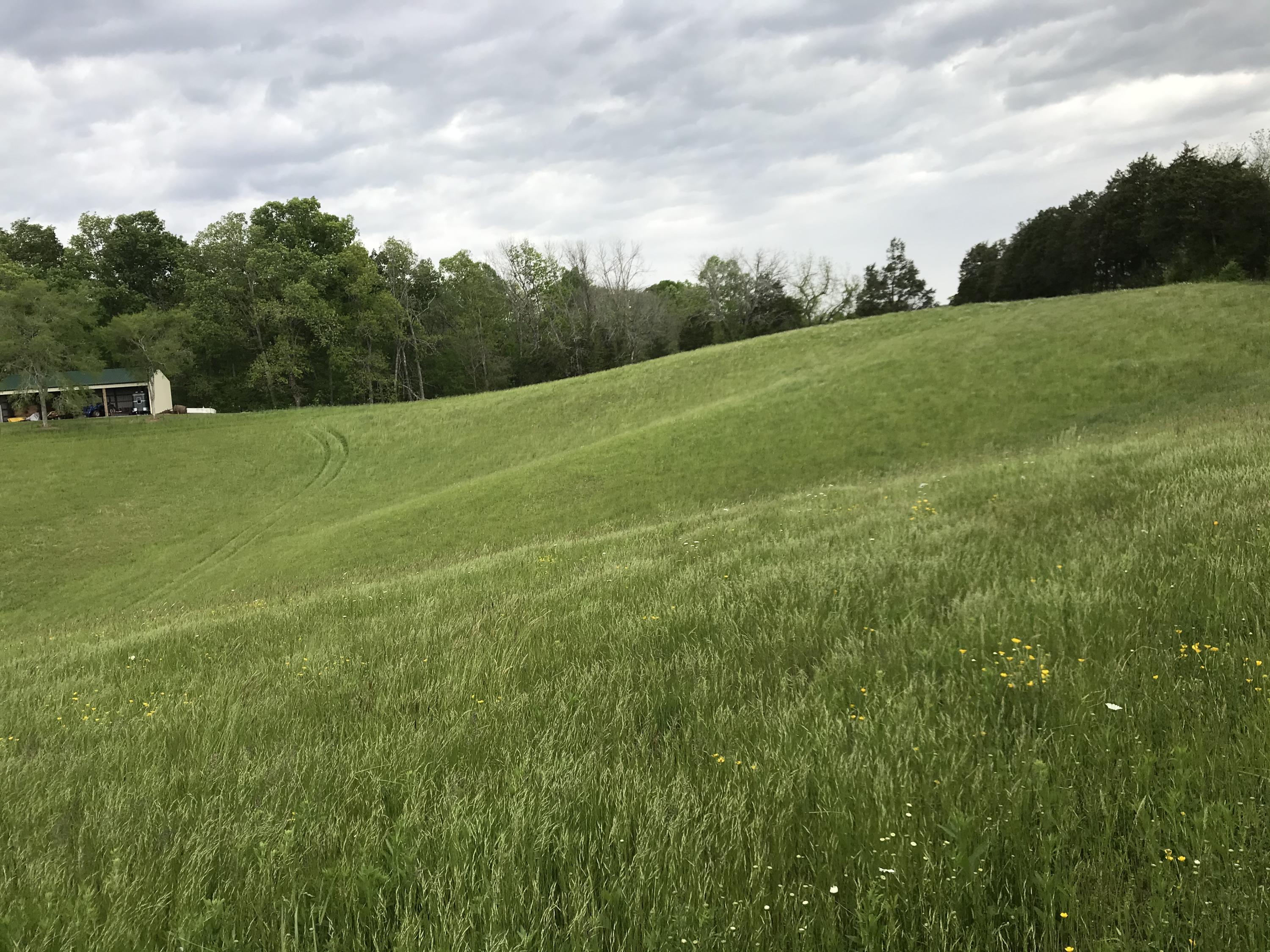 14.39-ac Red Gate Road Greeneville, TN 37743 - Photo 20 of 23 Photo 19