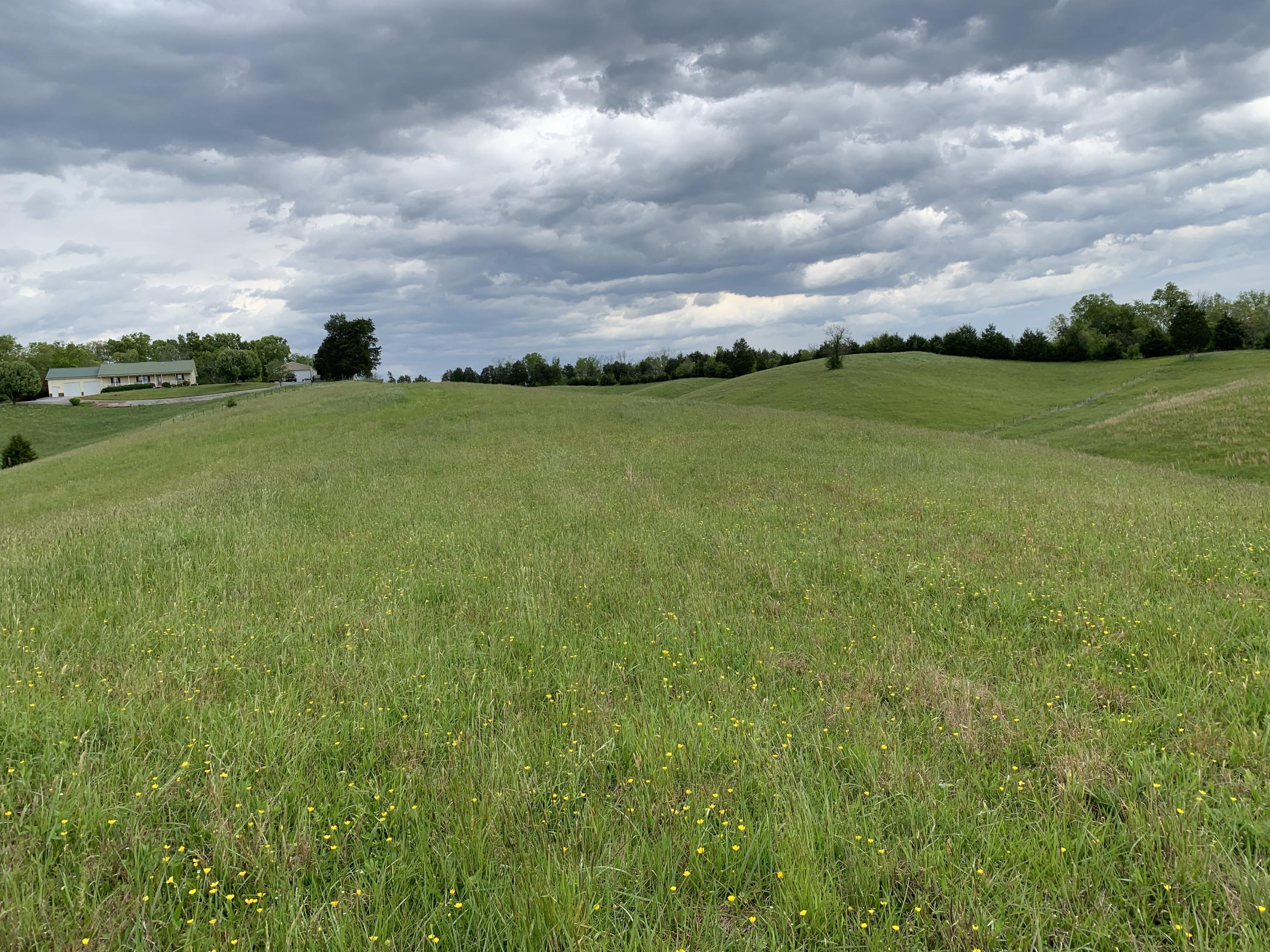 14.39-ac Red Gate Road Greeneville, TN 37743 - Photo 3 of 23 Photo 2