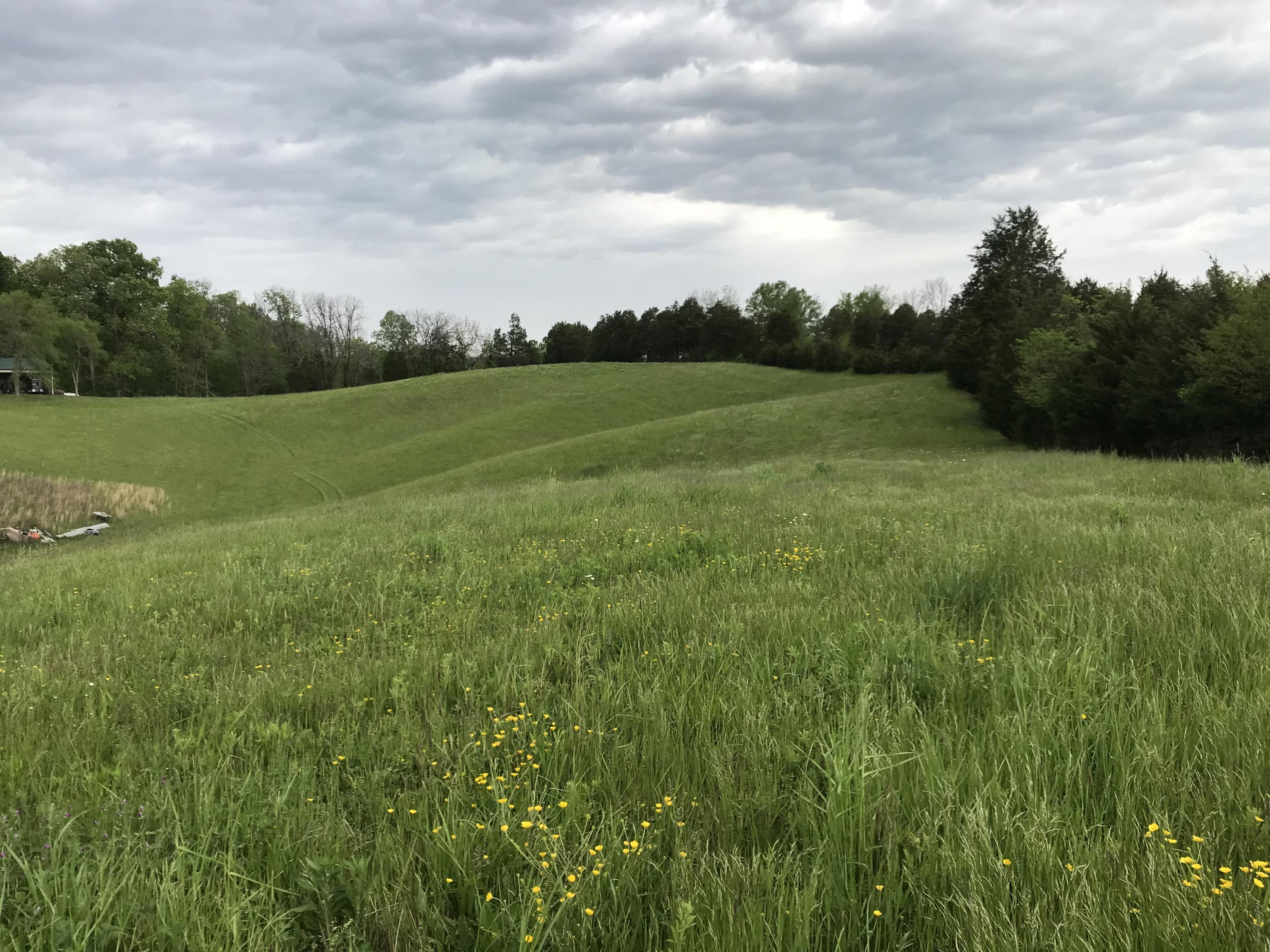 14.39-ac Red Gate Road Greeneville, TN 37743 - Photo 21 of 23 Photo 20