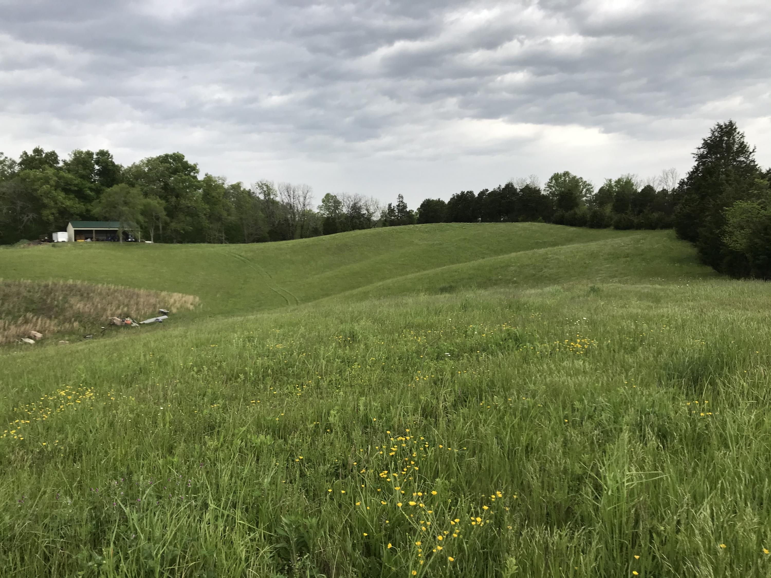 14.39-ac Red Gate Road Greeneville, TN 37743 - Photo 22 of 23 Photo 21