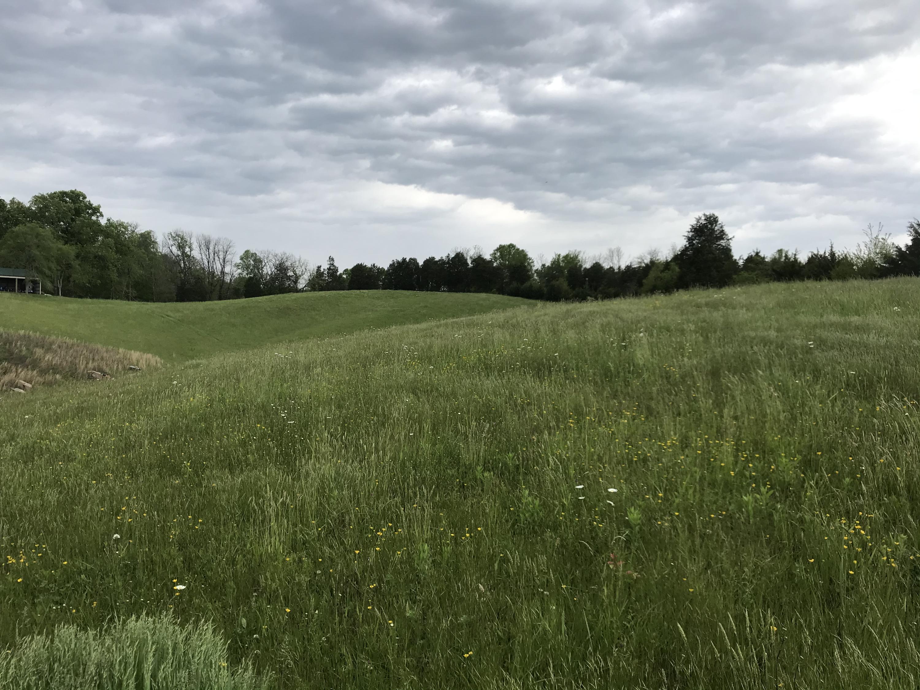 14.39-ac Red Gate Road Greeneville, TN 37743 - Photo 23 of 23 Photo 22