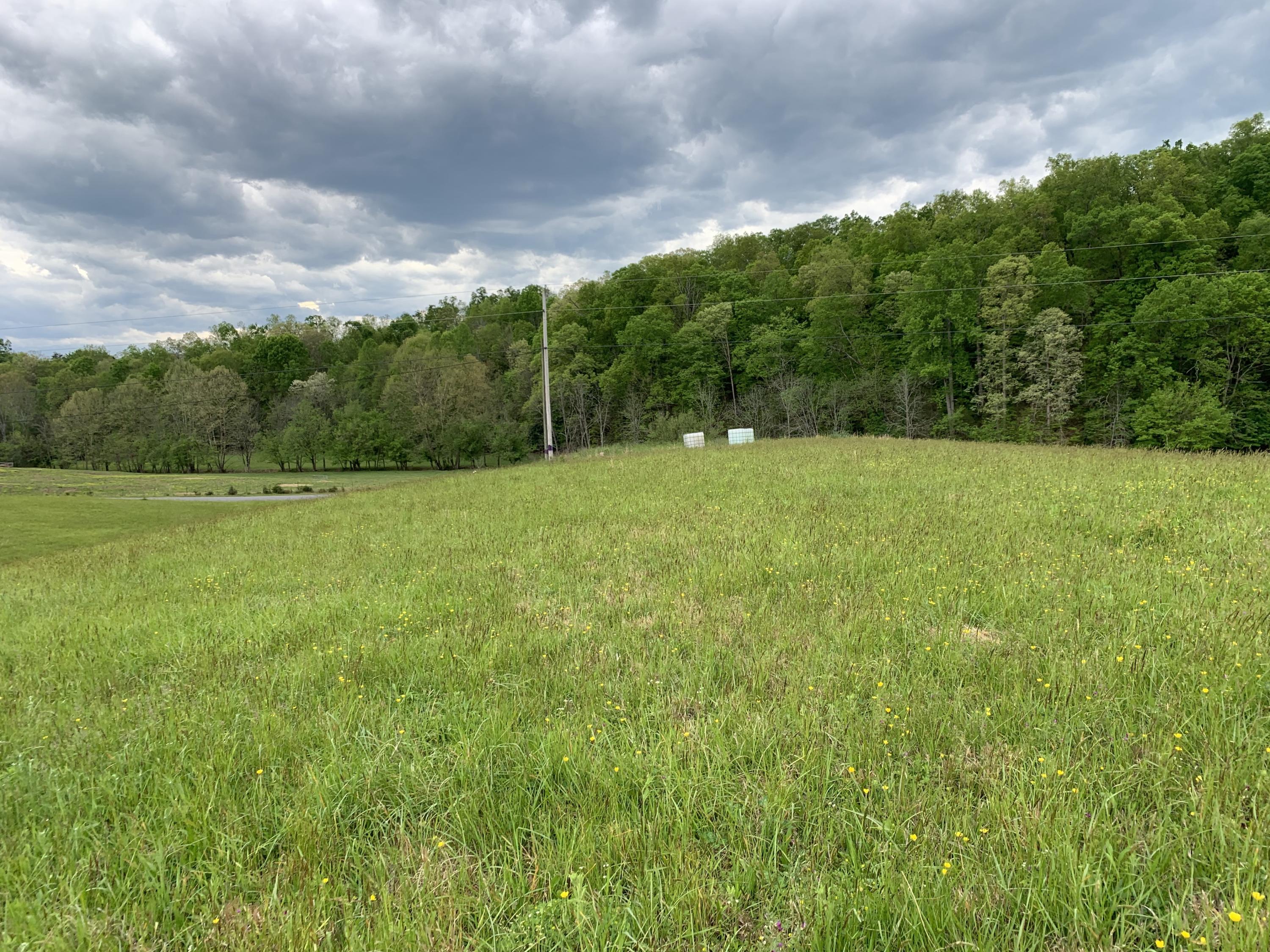 14.39-ac Red Gate Road Greeneville, TN 37743 - Photo 4 of 23 Photo 3