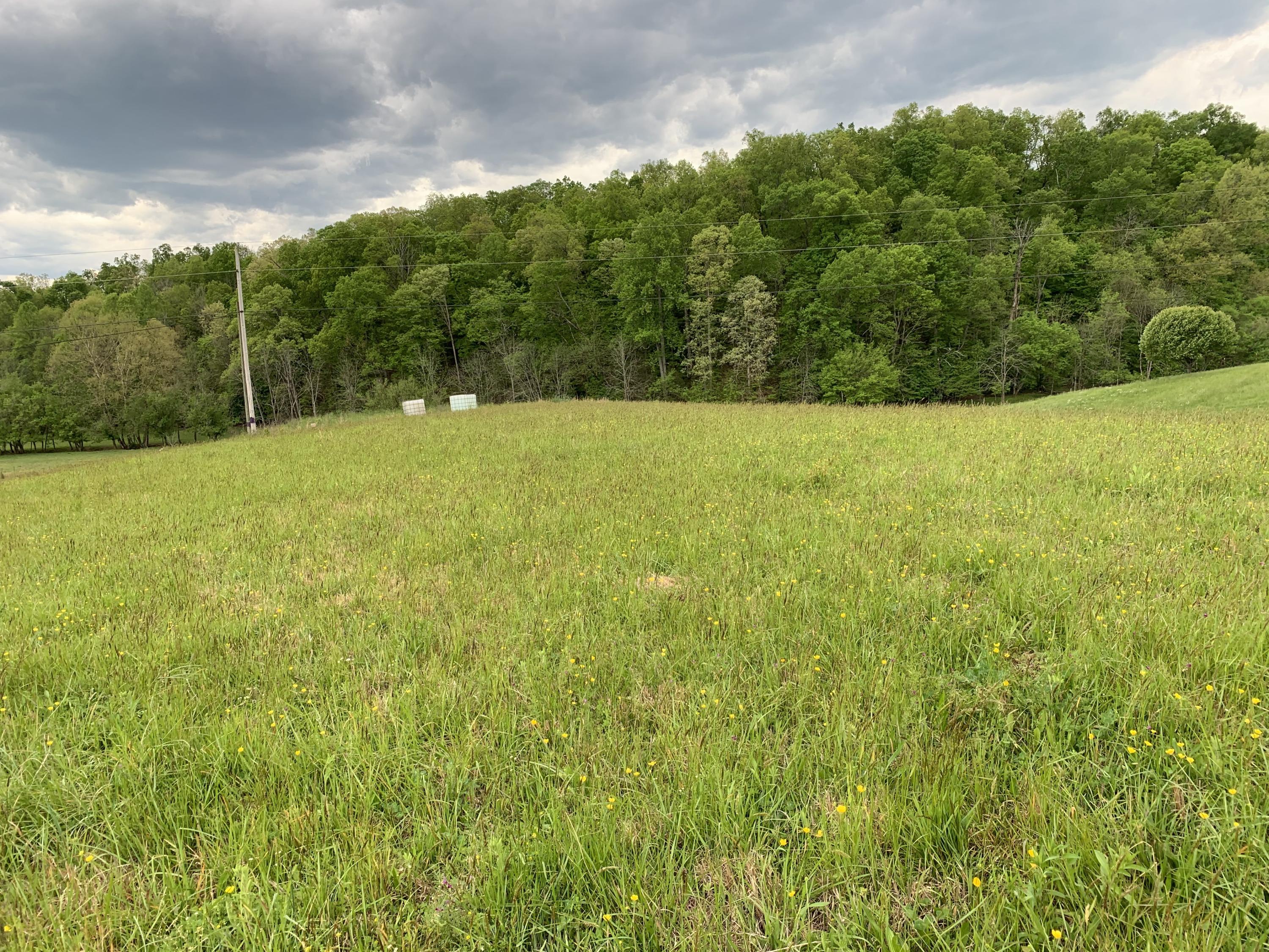 14.39-ac Red Gate Road Greeneville, TN 37743 - Photo 5 of 23 Photo 4