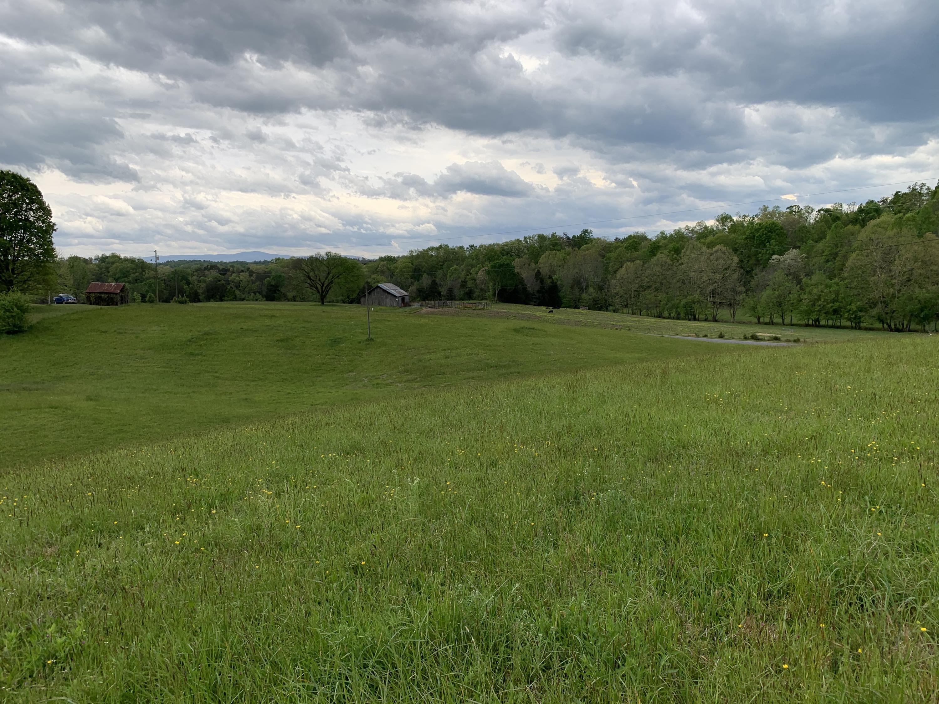 14.39-ac Red Gate Road Greeneville, TN 37743 - Photo 6 of 23 Photo 5