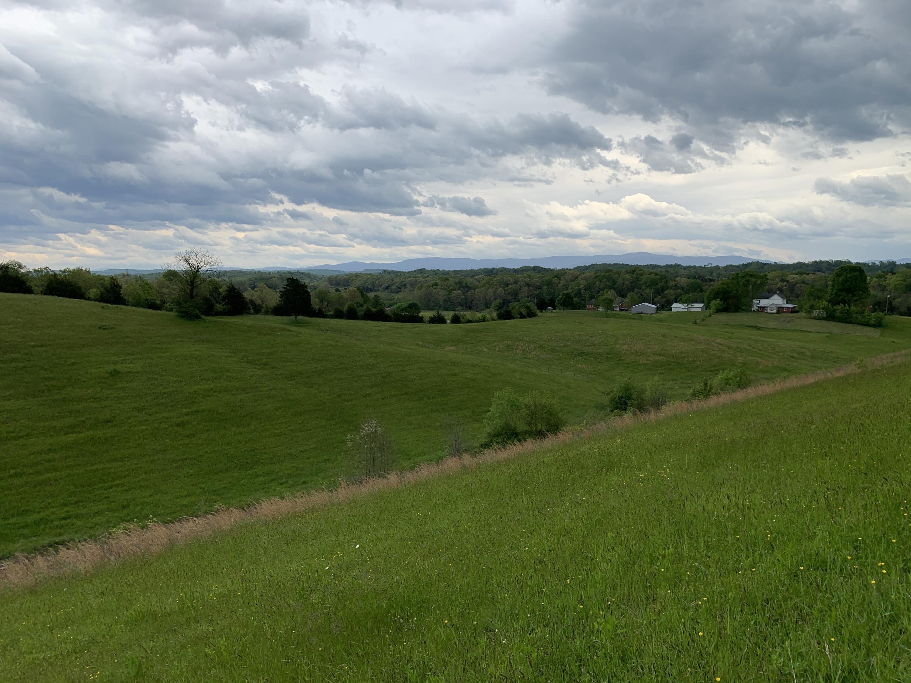 14.39-ac Red Gate Road Greeneville, TN 37743 - Photo 10 of 23 Photo 9