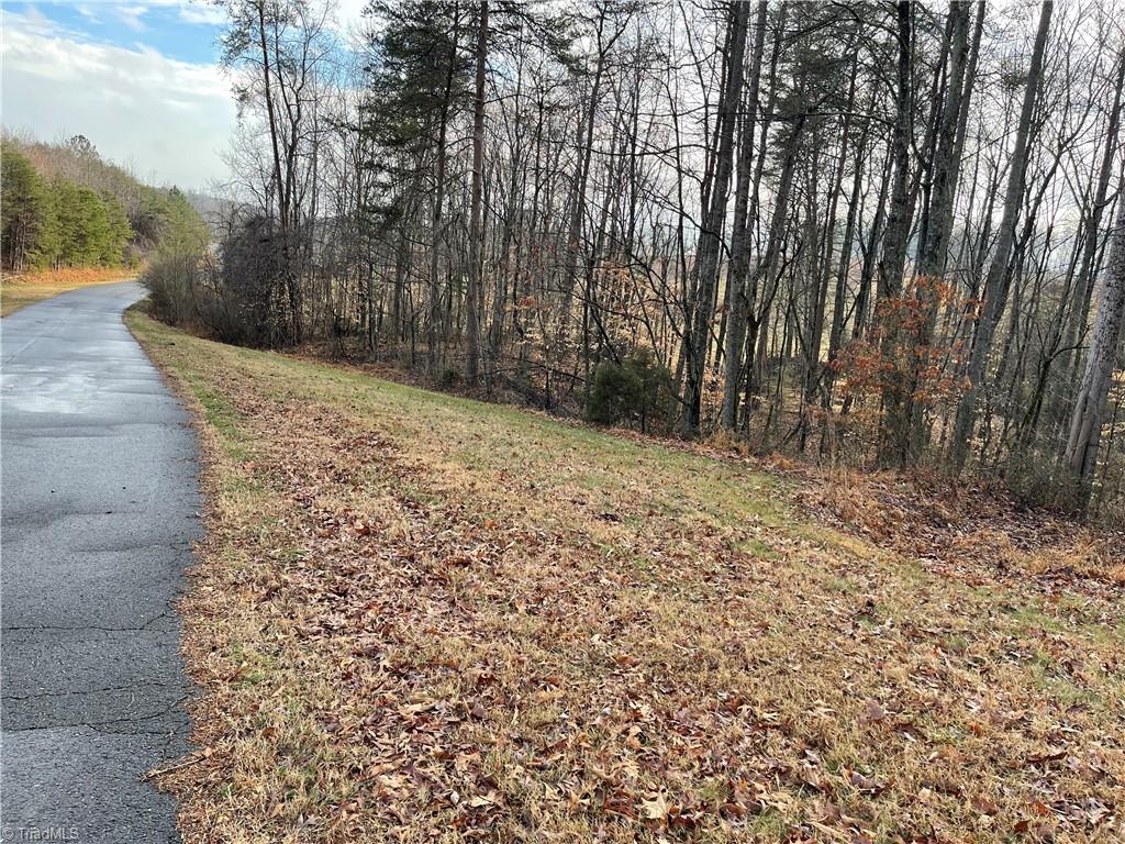 9.5-acres Doc Sams Road King, NC 27021 - Photo 1 of 13 Gallery Image 1