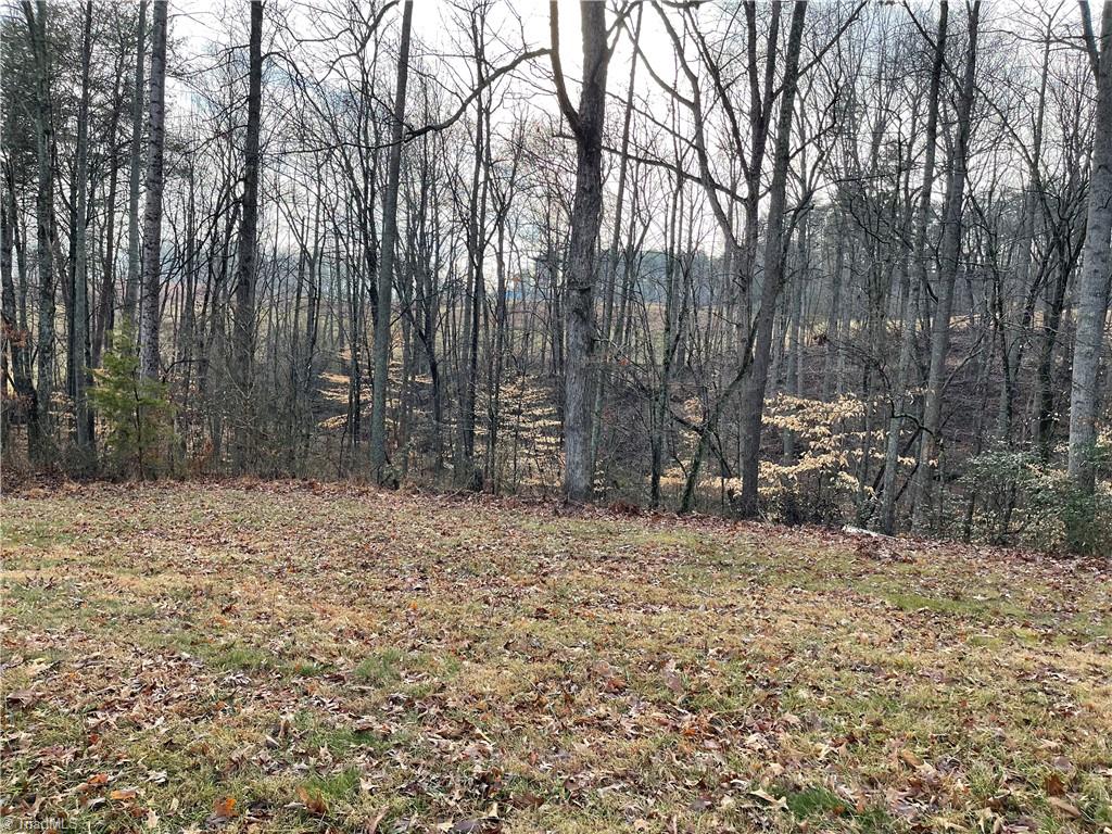 9.5-acres Doc Sams Road King, NC 27021 - Photo 3 of 13 Gallery Image 3