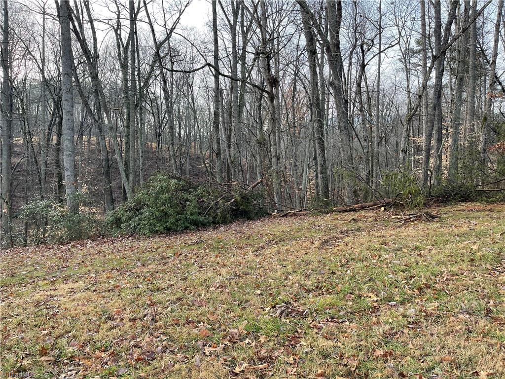 9.5-acres Doc Sams Road King, NC 27021 - Photo 4 of 13 Gallery Image 4