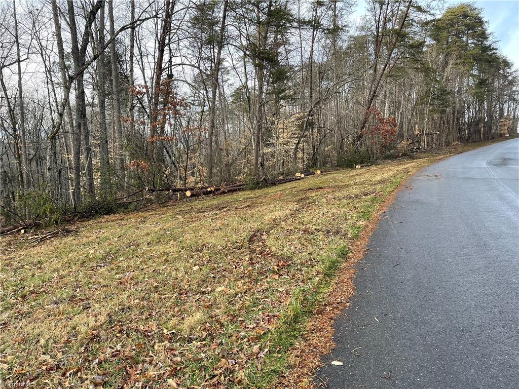 9.5-acres Doc Sams Road King, NC 27021 - Photo 5 of 13 Gallery Image 5