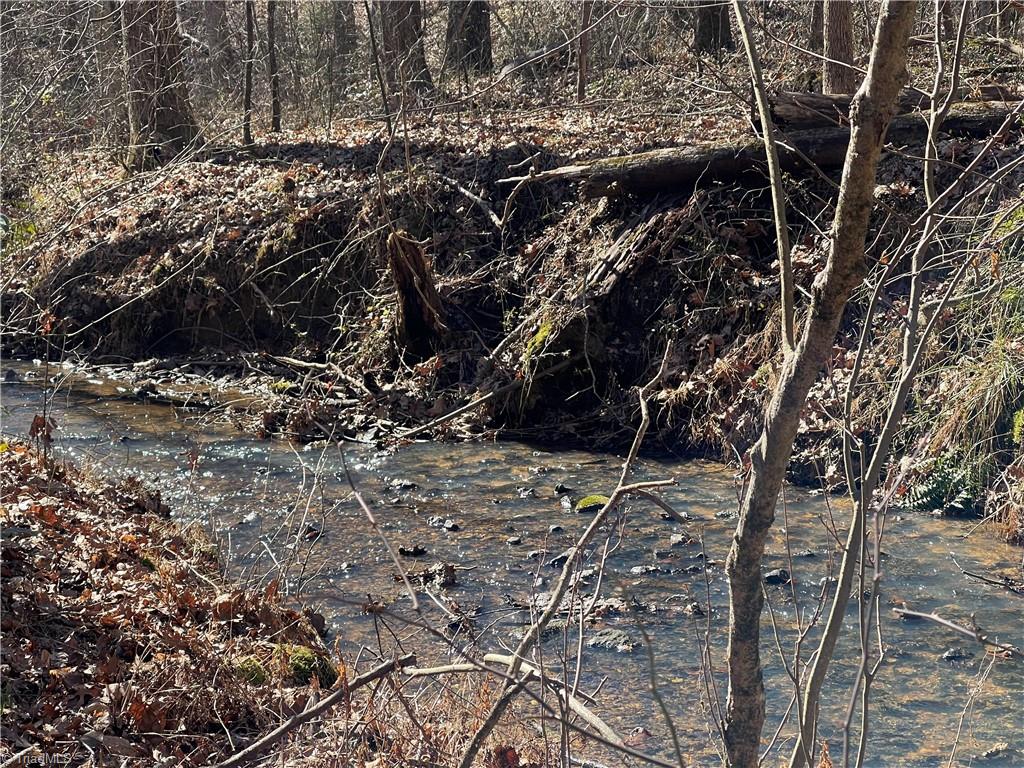 9.5 Acres Doc Sams Road King, NC 27021 - Photo 6 of 20 Gallery Image 6