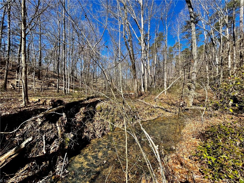 9.5 Acres Doc Sams Road King, NC 27021 - Photo 8 of 20 Gallery Image 8