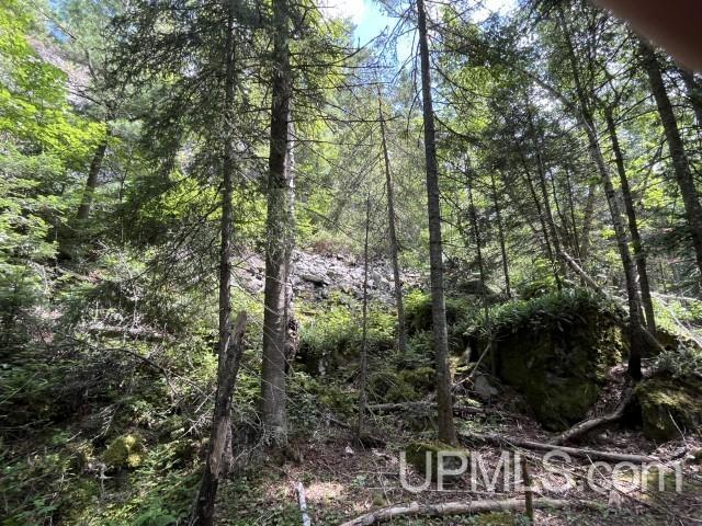 20-acres Willow Creek Road Negaunee, MI 49866 - Photo 16 of 17